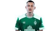 football bundesliga Sticker by SV Werder Bremen