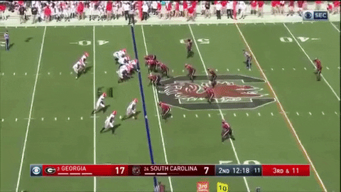 bson1011 giphygifmaker GIF