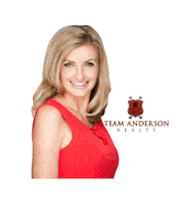 teamandersonrealty team anderson realty Sticker