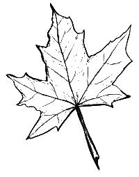 Autumn Sb Sticker