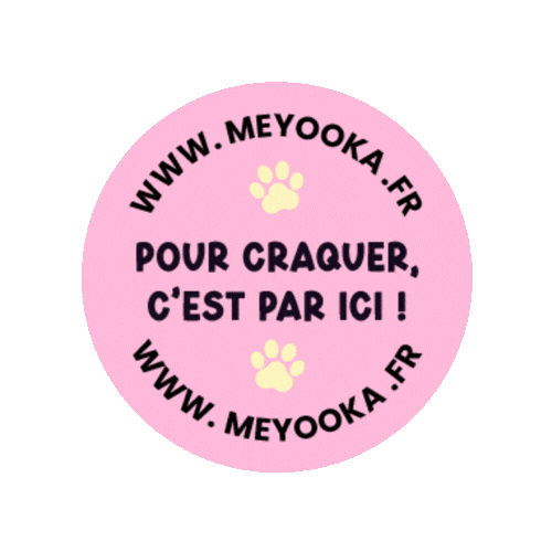 Cat Dog Sticker by Meyooka