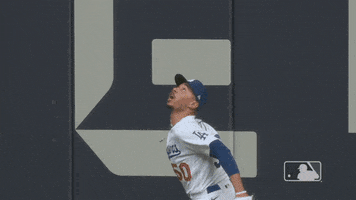 Jumping Major League Baseball GIF by MLB