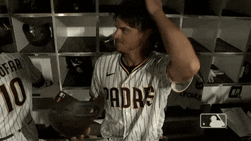 Lets Go Yes GIF by MLB
