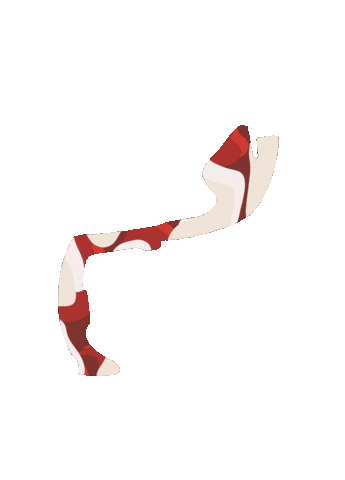 Racing F1 Sticker
