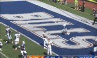 Buffalo Bills Football GIF by NFL