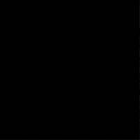 Race Antz GIF