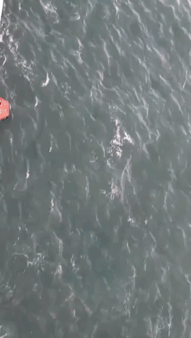 North Sea Cruise Ship Rescues Missing Fishermen