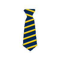 Wilkesblueandgold Sticker by Wilkes University