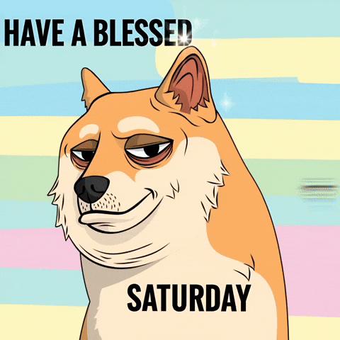Sarcastic Shiba Inu GIF by Doge Pound