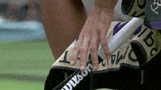 tennis roger GIF by Wimbledon