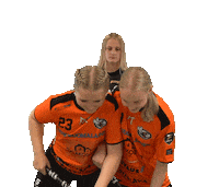 Sport Floorball Sticker by F-liiga