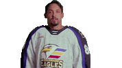 Sticker by Colorado Eagles