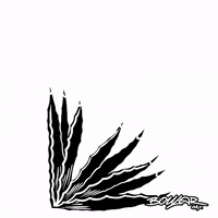 Mezcal Colibri GIF
