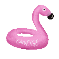 Pool Party Sticker by LaneigeMY