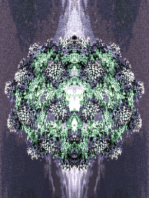 GIF by Leo Pyrata
