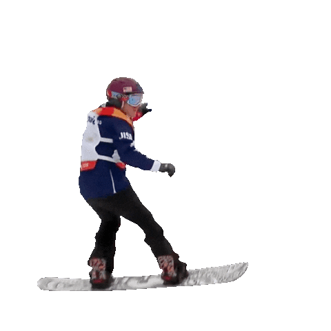 Paralympic Games Sticker by Team USA
