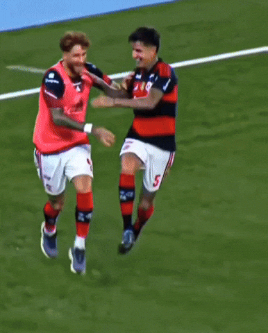 Botafogo GIF