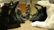 flanderscompany easter carrot paques flanderscompany GIF