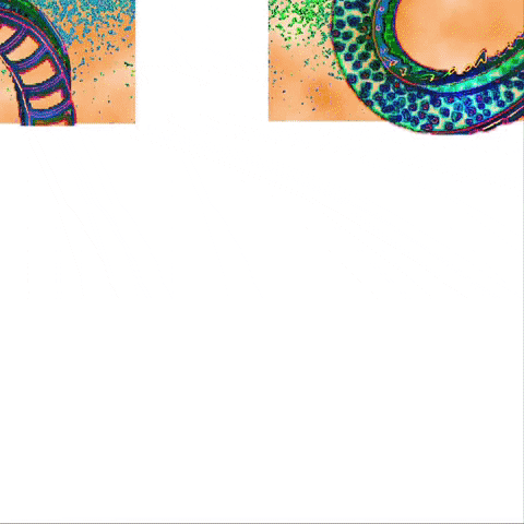 art reverse GIF by Angieluxd