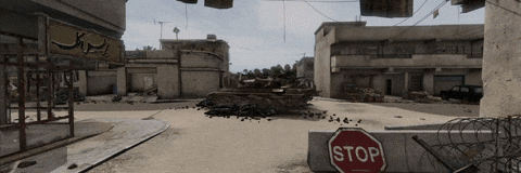 Dayz GIF