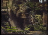 mdleone caravan of courage GIF