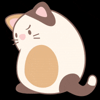 Cat No GIF by NICI GmbH