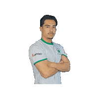 Sport Heerlen Sticker by Groene ster