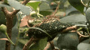 GIF by Giffffr