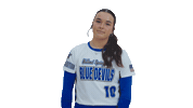 Holland Springfield Blue Devils Softball Sticker by Smooth Wave