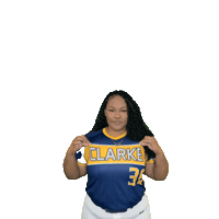 Clarke Softball Sticker by Clarke University