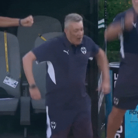 Domenec Torrent GIF