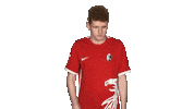 Sc Freiburg David Sticker by Bundesliga