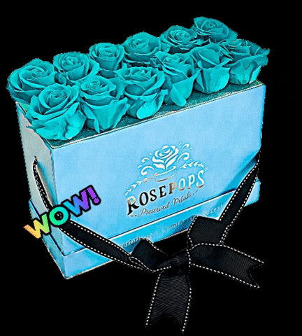 Pop Gift GIF by The Rosepops