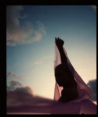 andrewschembri giphyupload GIF
