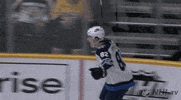 ice hockey GIF by NHL
