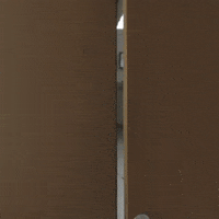 door entrance GIF by Honora Pearls