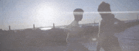 wild GIF by Troye Sivan