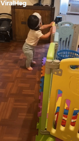 Confident Tyke Takes a Tumble