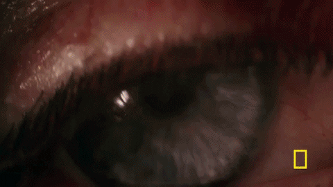 one strange rock GIF by National Geographic Channel