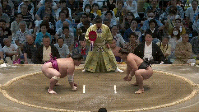 TZ85 giphyupload sumo kirishima 2023 nagoya basho GIF