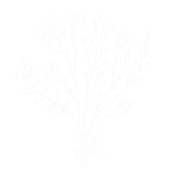 Flowers Spring Sticker by Heldenglück