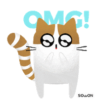Cat Omg Sticker
