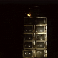 New York Art GIF by American Masters on PBS