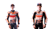 I See You Sport Sticker by MotoGP