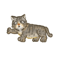 Tabby Cat Sticker