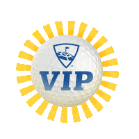 Hole In One Golf Sticker by TopGolfMX