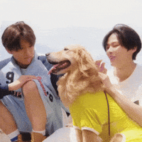 Nct GIF