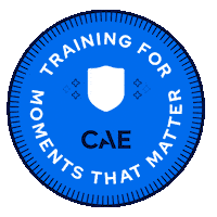 Security Defense Sticker by CAE