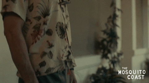 Looking The Mosquito Coast GIF by Apple TV+