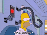homer simpson GIF